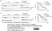 Anti ALIX Antibody, clone 3A9 thumbnail image 7