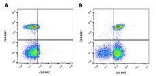 Anti Bacterial Alkaline Phosphatase Antibody, clone AbD25296_hIgG2 gallery image 4