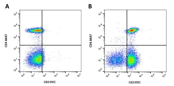 Anti Bacterial Alkaline Phosphatase Antibody, clone AbD25296_hIgG2 gallery image 4