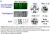 Anti Borrelia burgdorferi Flagellar Antigen Antibody, clone 6802 thumbnail image 1
