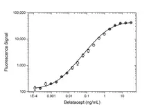 Anti Belatacept Antibody, clone AbD36935pap gallery image 3