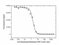Anti Belatacept Antibody, clone AbD37060 gallery image 2