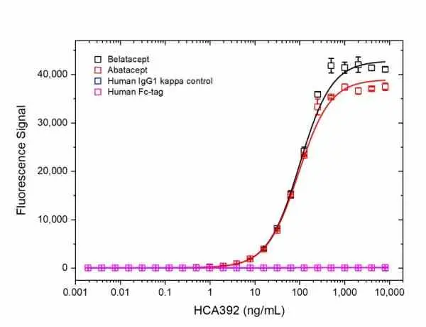 Anti Belatacept Antibody, clone AbD37060ia gallery image 3