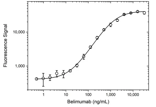 Anti Belimumab Antibody, clone AbD59897 gallery image 3