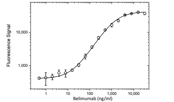 Anti Belimumab Antibody, clone AbD59900ad gallery image 4