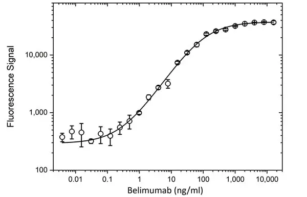 Anti Belimumab Antibody, clone AbD60131 gallery image 4