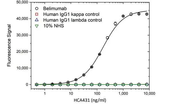 Anti Belimumab Antibody, clone AbD60132ia gallery image 2