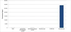 Anti Benralizumab Antibody, clone AbD59975ia gallery image 1