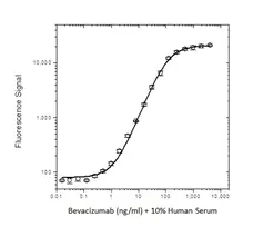 Anti Bevacizumab Antibody, clone AbD16748_hIgG1 gallery image 3