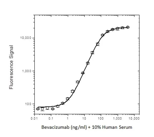 Anti Bevacizumab Antibody, clone AbD17976 gallery image 3