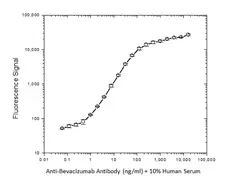 Anti Bevacizumab Antibody, clone AbD17976_hIgG1 gallery image 2