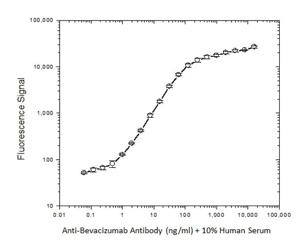 Anti Bevacizumab Antibody, clone AbD17976_hIgG1 gallery image 2
