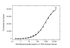Anti Bevacizumab Antibody, clone AbD17976_hIgG1 gallery image 3
