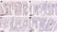 Anti BrdU Antibody, clone AbD33761kd (Monoclonal Antibody Antibody) thumbnail image 4