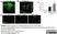 Anti BrdU Antibody, clone Bu20a thumbnail image 10
