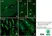 Anti BrdU Antibody, clone Bu20a thumbnail image 9