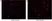 Anti BrdU Antibody, clone RF06 (Monoclonal Antibody Antibody) thumbnail image 1