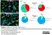 Anti BrdU Antibody, clone RF06 (Monoclonal Antibody Antibody) thumbnail image 7