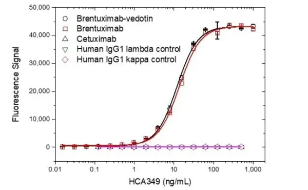 Anti Brentuximab Vedotin Antibody, clone AbD39649ca gallery image 2