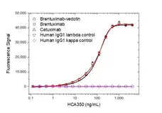 Anti Brentuximab Vedotin Antibody, clone AbD39650ia gallery image 2