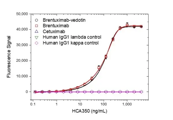 Anti Brentuximab Vedotin Antibody, clone AbD39650ia gallery image 2