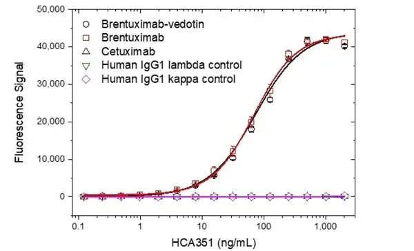 Anti Brentuximab Vedotin Antibody, clone AbD39655ia gallery image 2