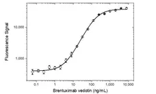 Anti Brentuximab Vedotin Antibody, clone AbD39655ia gallery image 4