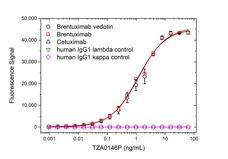 Anti Brentuximab Vedotin Antibody, clone AbD39655pap gallery image 2
