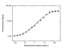 Anti Brentuximab Vedotin Antibody, clone AbD39655pap gallery image 3