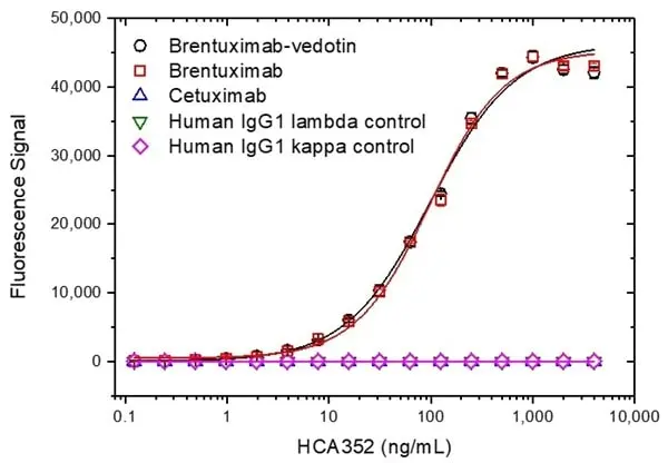 Anti Brentuximab Vedotin Antibody, clone AbD39659ia gallery image 2