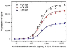Anti Brentuximab Vedotin Antibody, clone AbD39659ia gallery image 4