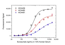 Anti Burosumab Antibody, clone AbD63870ia gallery image 3