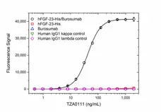 Anti Burosumab (Drug/Target Complex) Antibody, clone AbD64797 gallery image 2