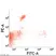 Anti Cat CD8 Alpha/Beta Antibody, clone vpg9 thumbnail image 1