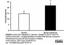 Anti Cat IgA Antibody, clone IgA9-6A gallery image 1