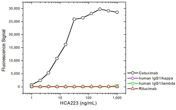 Anti Cetuximab Antibody, clone AbD19815_hIgG1 gallery image 3