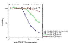 Anti Cetuximab Antibody, clone AbD19815_hIgG1 gallery image 4