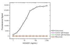 Anti Cetuximab Antibody, clone AbD19830_hIgG1 gallery image 2