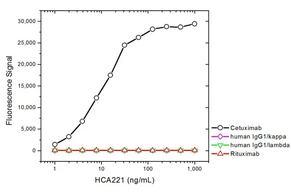 Anti Cetuximab Antibody, clone AbD19830_hIgG1 gallery image 2