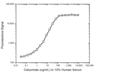 Anti Cetuximab Antibody, clone AbD19830_hIgG1 gallery image 3