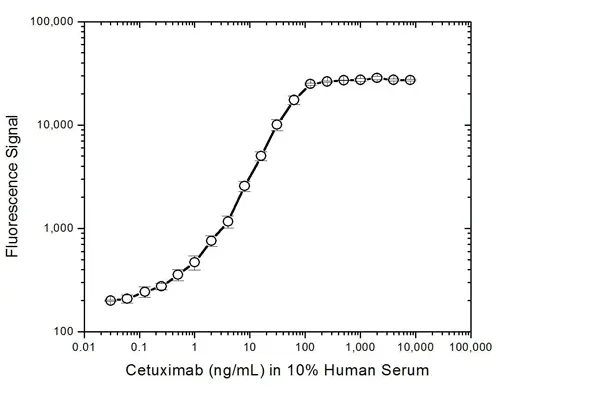 Anti Cetuximab Antibody, clone AbD19830_hIgG1 gallery image 3