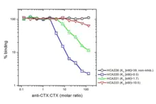 Anti Cetuximab Antibody, clone AbD19830_hIgG1 gallery image 4