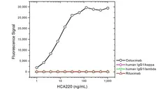 Anti Cetuximab Antibody, clone AbD19834 gallery image 2