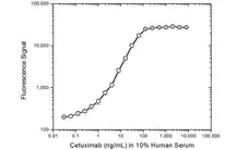 Anti Cetuximab Antibody, clone AbD19834 gallery image 3
