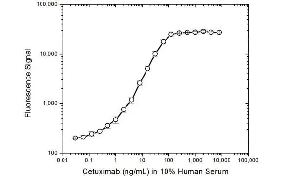 Anti Cetuximab Antibody, clone AbD19834 gallery image 3