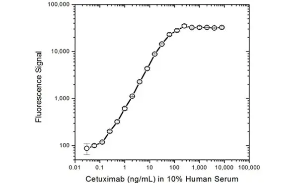 Anti Cetuximab Antibody, clone AbD19834 gallery image 4
