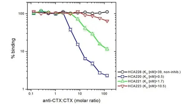 Anti Cetuximab Antibody, clone AbD19834 gallery image 5