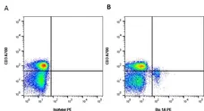 Anti Chicken Bu-1A Antibody, clone L22 gallery image 2
