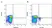 Anti Chicken Bu-1A Antibody, clone L22 thumbnail image 2