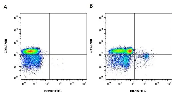 Anti Chicken Bu-1A Antibody, clone L22 gallery image 3
